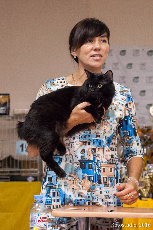      Nero Lince