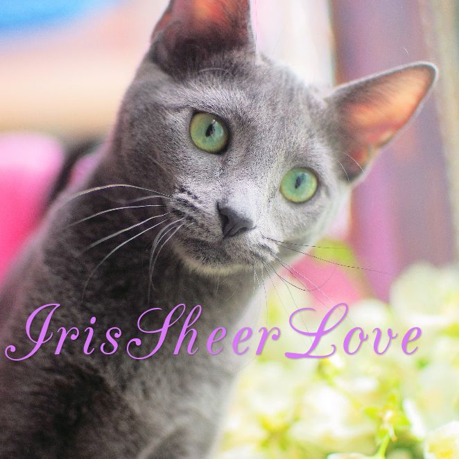       Sheer Love/   