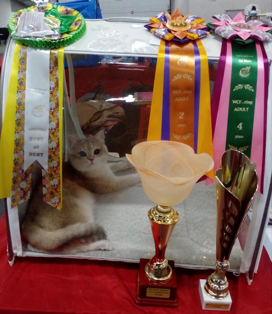      Princely Gift