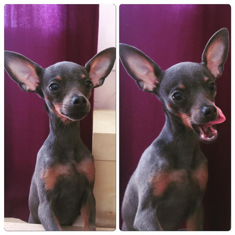  -.  
